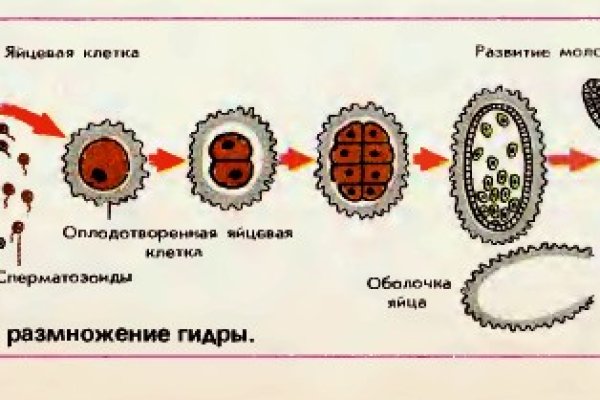 Кракен официальный сайт